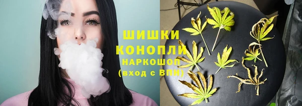 ГАЛЛЮЦИНОГЕННЫЕ ГРИБЫ Арсеньев