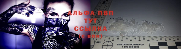 ГАЛЛЮЦИНОГЕННЫЕ ГРИБЫ Арсеньев