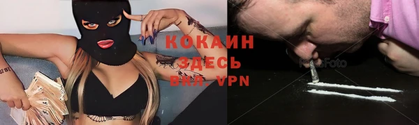 ГАЛЛЮЦИНОГЕННЫЕ ГРИБЫ Арсеньев