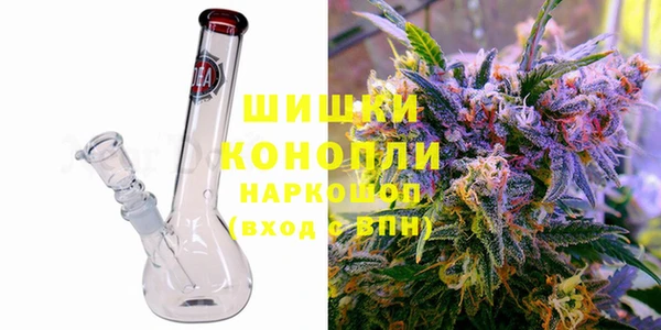 ГАЛЛЮЦИНОГЕННЫЕ ГРИБЫ Арсеньев