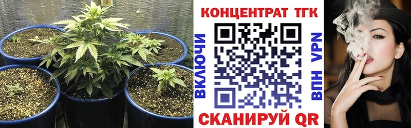OMG как зайти  Стародуб  ТГК концентрат  купить наркотик 