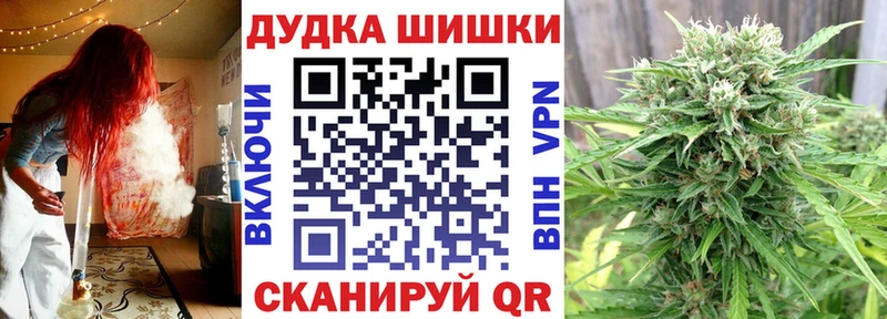 Конопля индика Стародуб