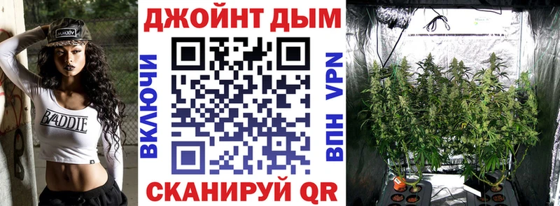 купить закладку  shop официальный сайт  MEGA ССЫЛКА  Конопля планчик  Стародуб 